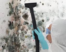 Mold Documentation for Insurance Claims in Wadley, GA